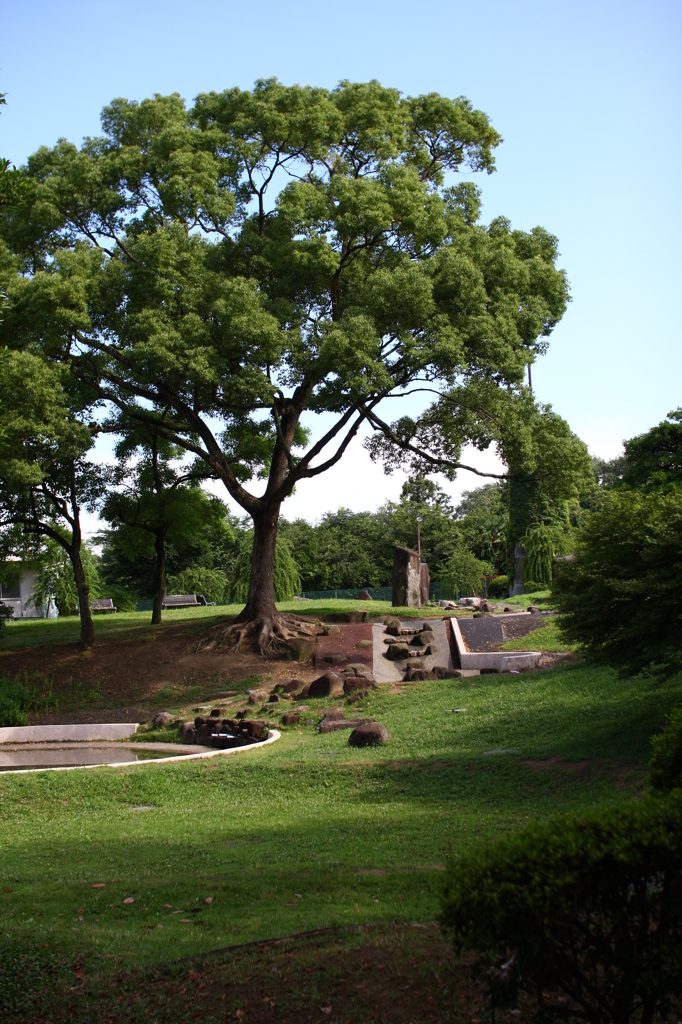 名古屋市農業センターにて　