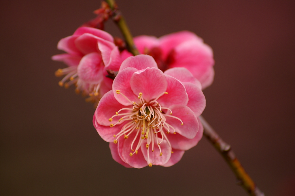 大高緑地公園にて　