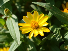 名古屋市農業センターにて　