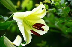 名古屋市農業センターにて　