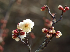 大高緑地公園にて