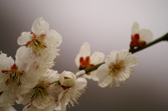 大高緑地公園にて　