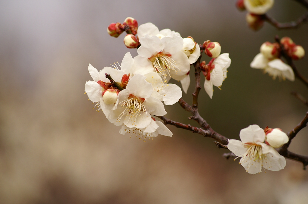 大高緑地公園にて　