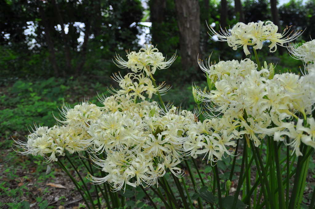 名古屋市農業センターにて　