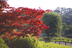 大高緑地公園にて　
