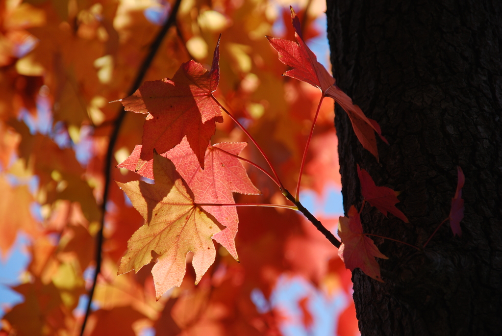 暖かな日差しを受けて
