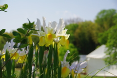 名古屋市農業センターにて　