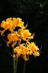 名古屋市農業センターにて　