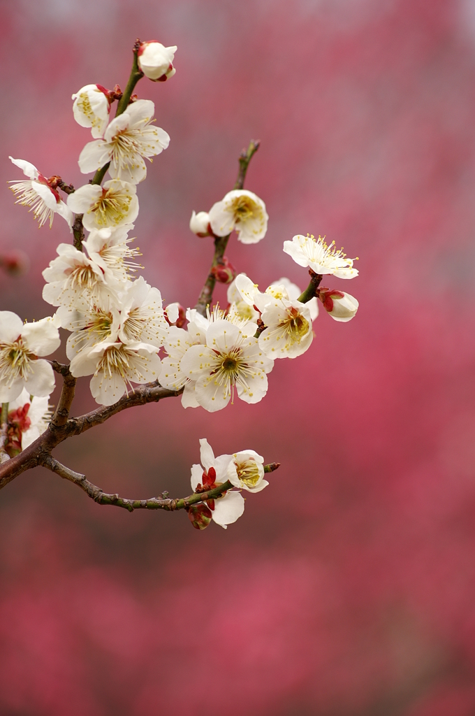 大高緑地公園にて　