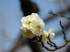 大高緑地公園にて