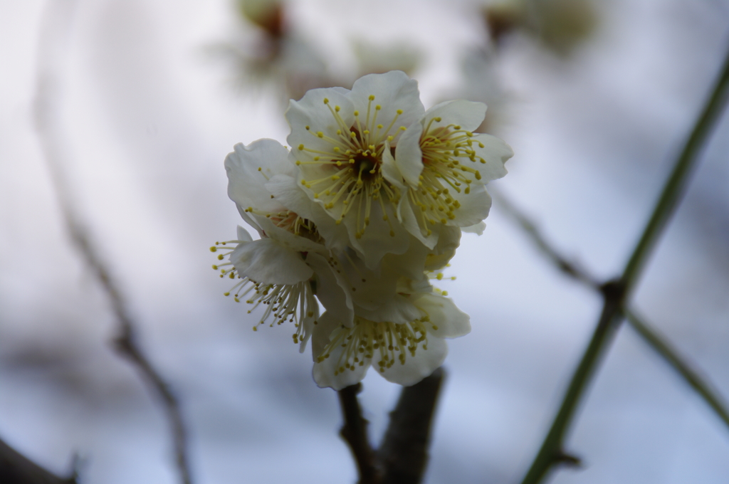 大高緑地公園にて
