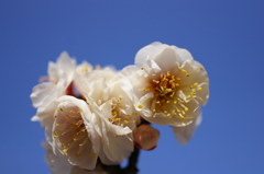 大高緑地公園にて