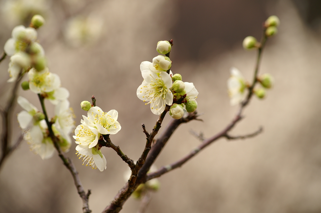 大高緑地公園にて　