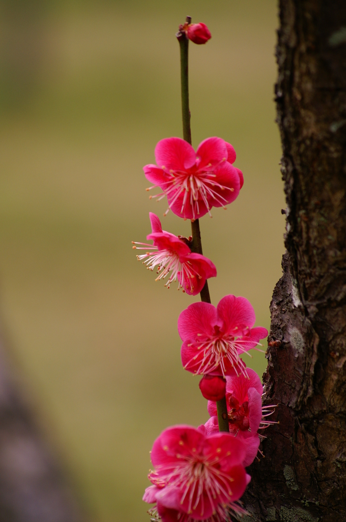 大高緑地公園にて　