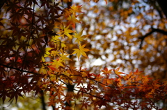 名古屋市農業センターにて