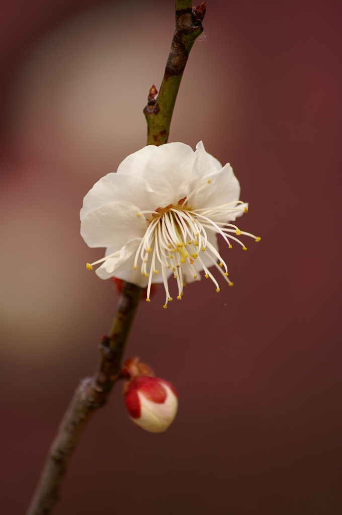 大高緑地公園にて　