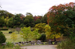 平野部も色づいて^^