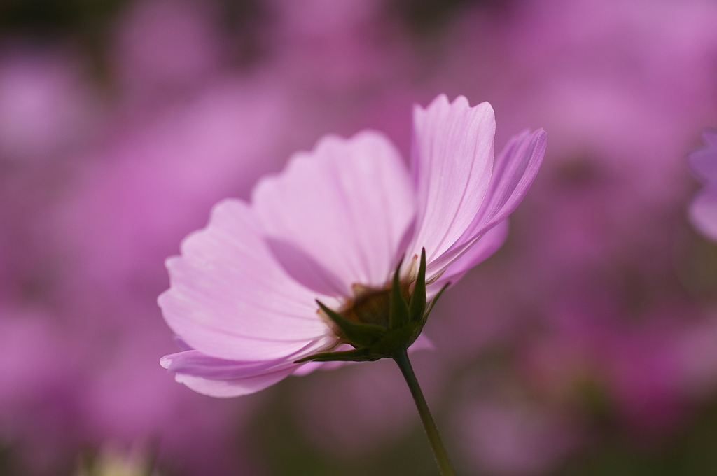 みどりが丘公園にて　