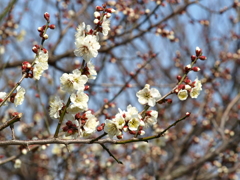 大高緑地公園にて