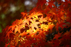 スポットライトを受けて^^