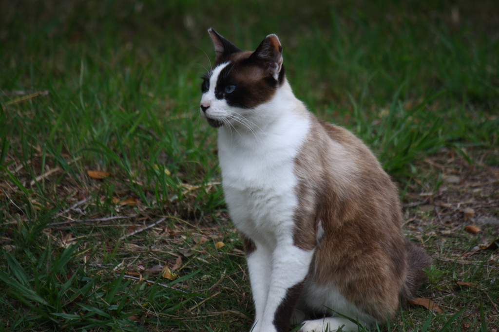 足が切れました・・・