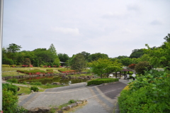 大高緑地公園にて　