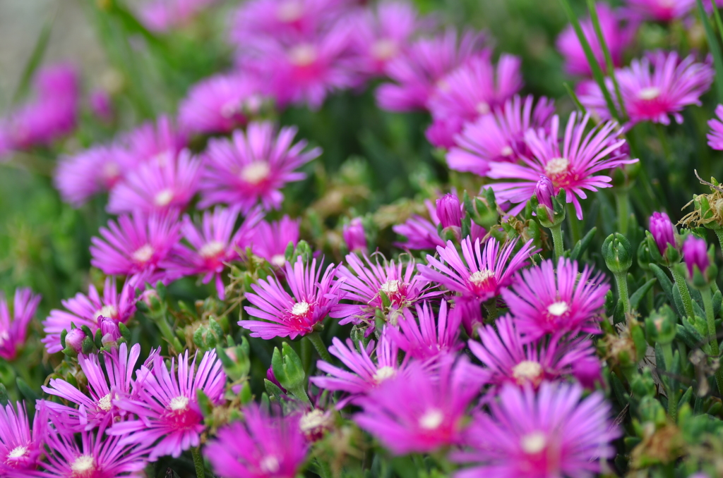 大高緑地公園にて　