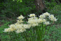 名古屋市農業センターにて　