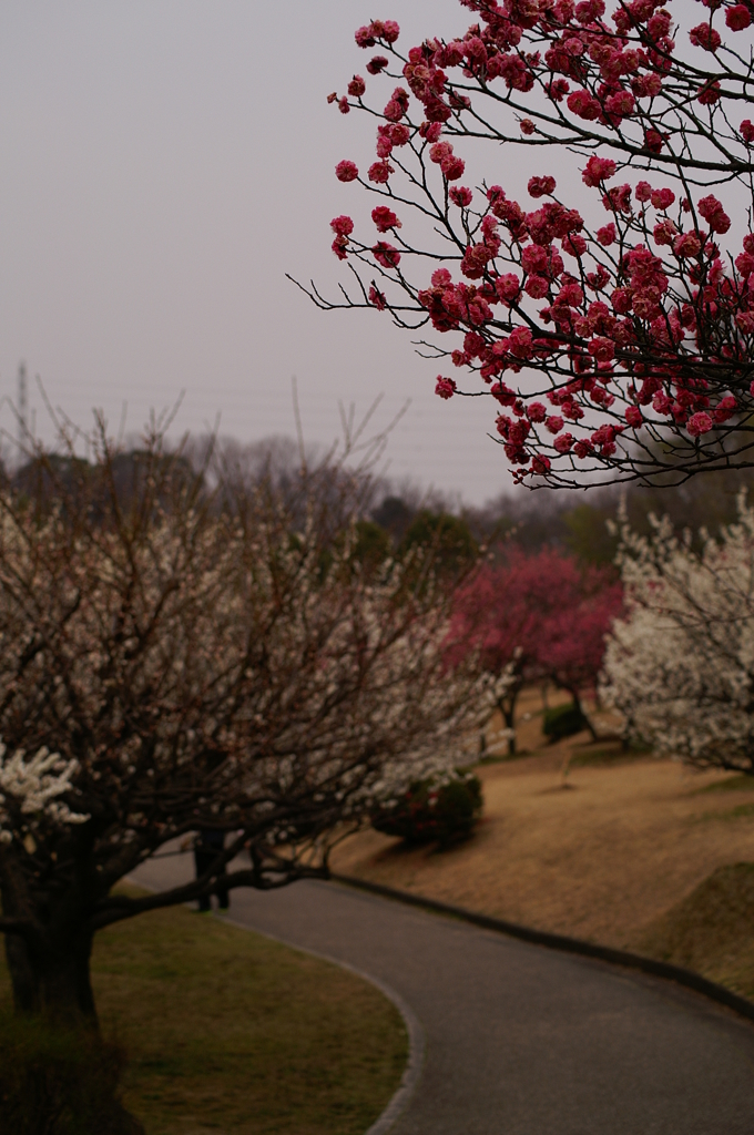 大高緑地公園にて　