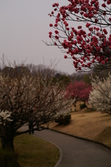 大高緑地公園にて　