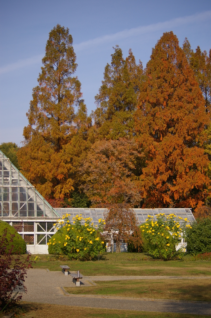 名古屋市農業センターにて
