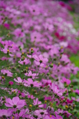 みどりが丘公園にて　