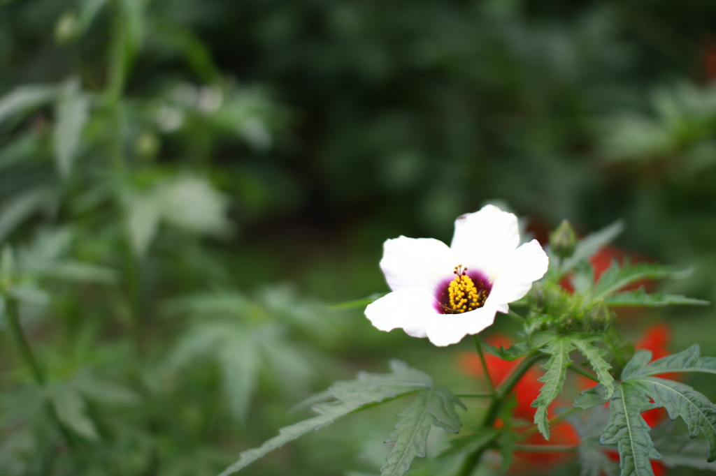 名古屋市農業センターにて