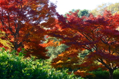 大高緑地公園にて