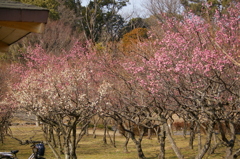 大高緑地公園にて