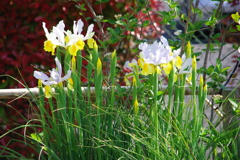 名古屋市農業センターにて　