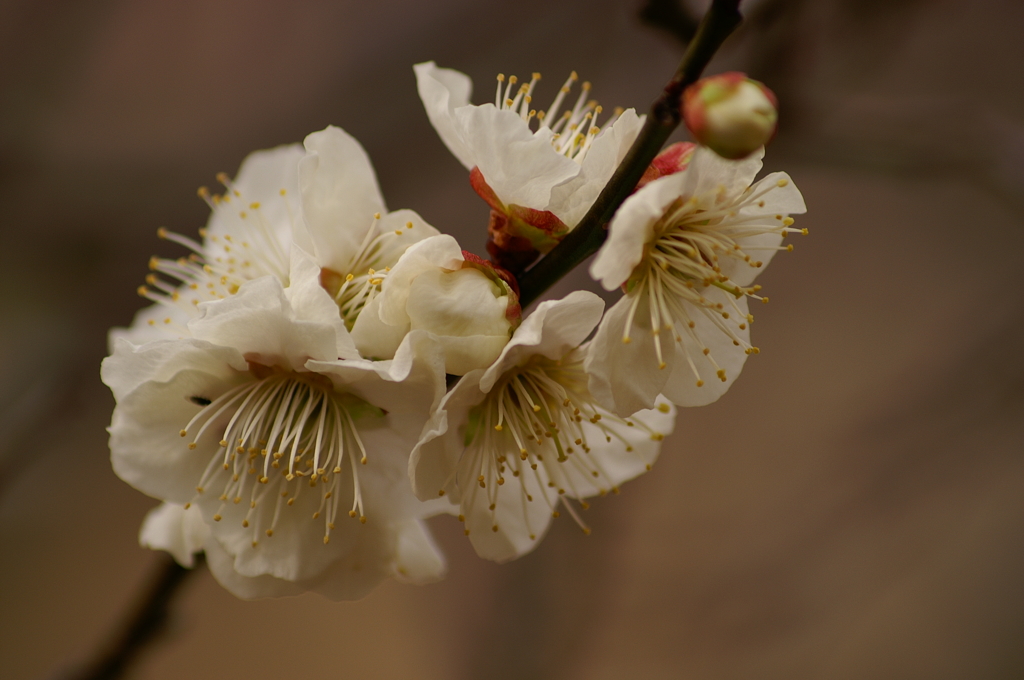 大高緑地公園にて　