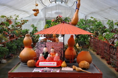 名古屋市農業センターにて　