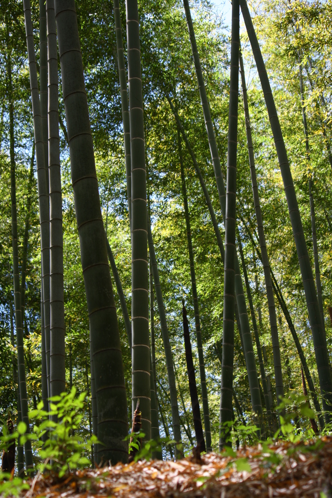 吹く風が心地よくて＾＾