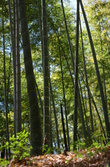 吹く風が心地よくて＾＾