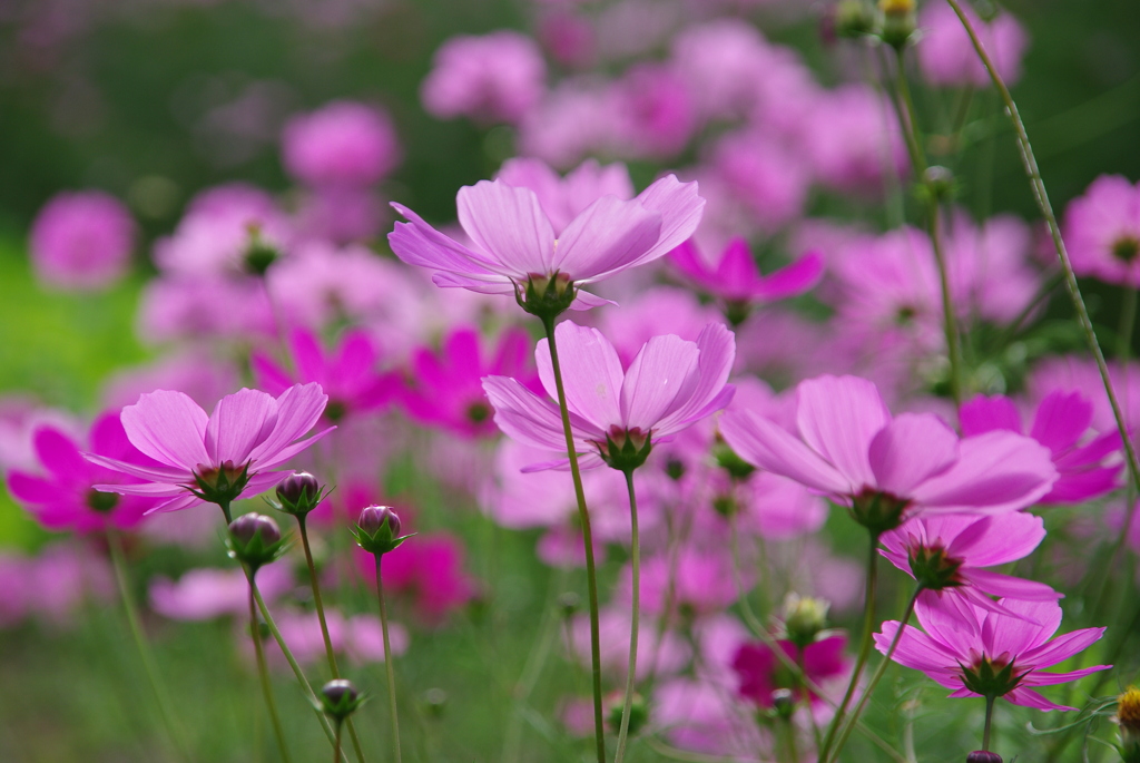 みどりが丘公園にて　