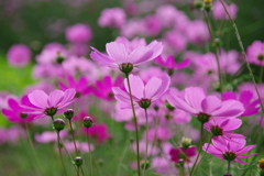 みどりが丘公園にて　