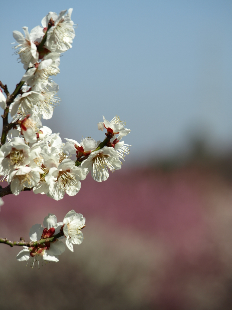 大高緑地公園にて　