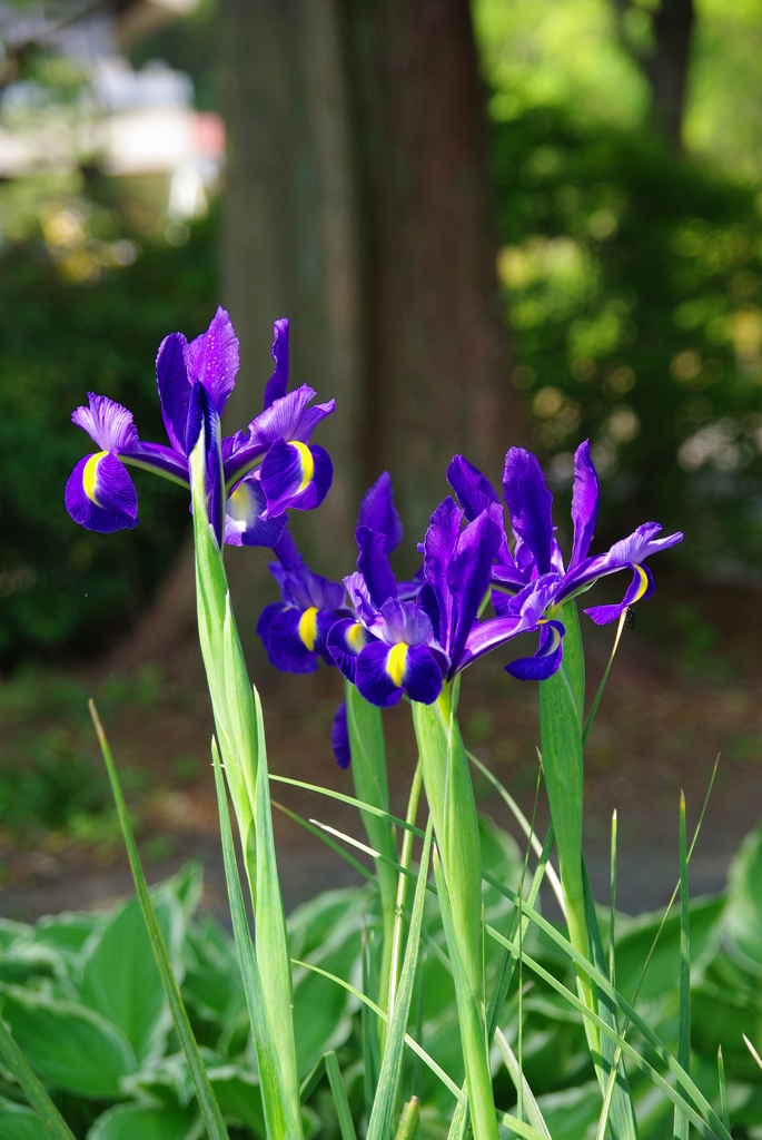 名古屋市農業センターにて　