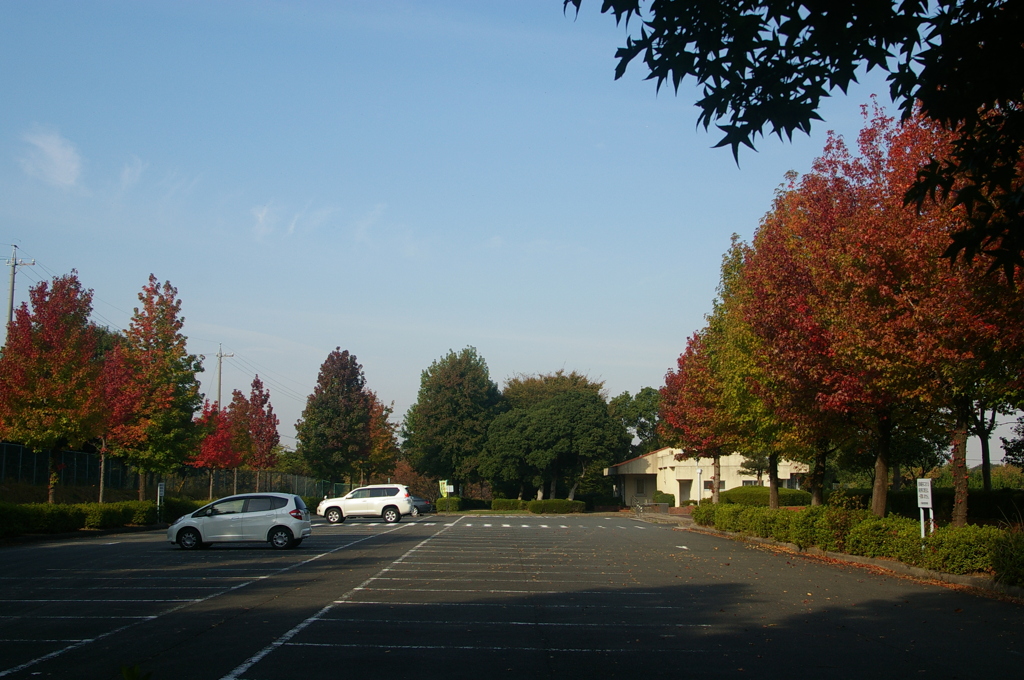 大高緑地公園にて