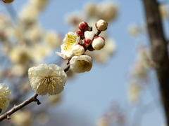 大高緑地公園にて