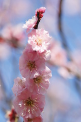大高緑地公園にて　
