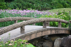 大高緑地公園にて　