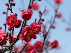 大高緑地公園にて