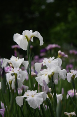 大高緑地公園にて　